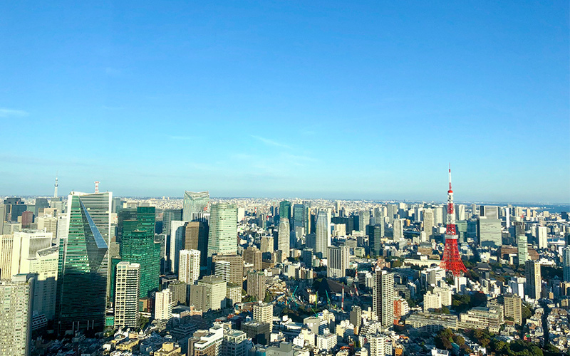 事業内容